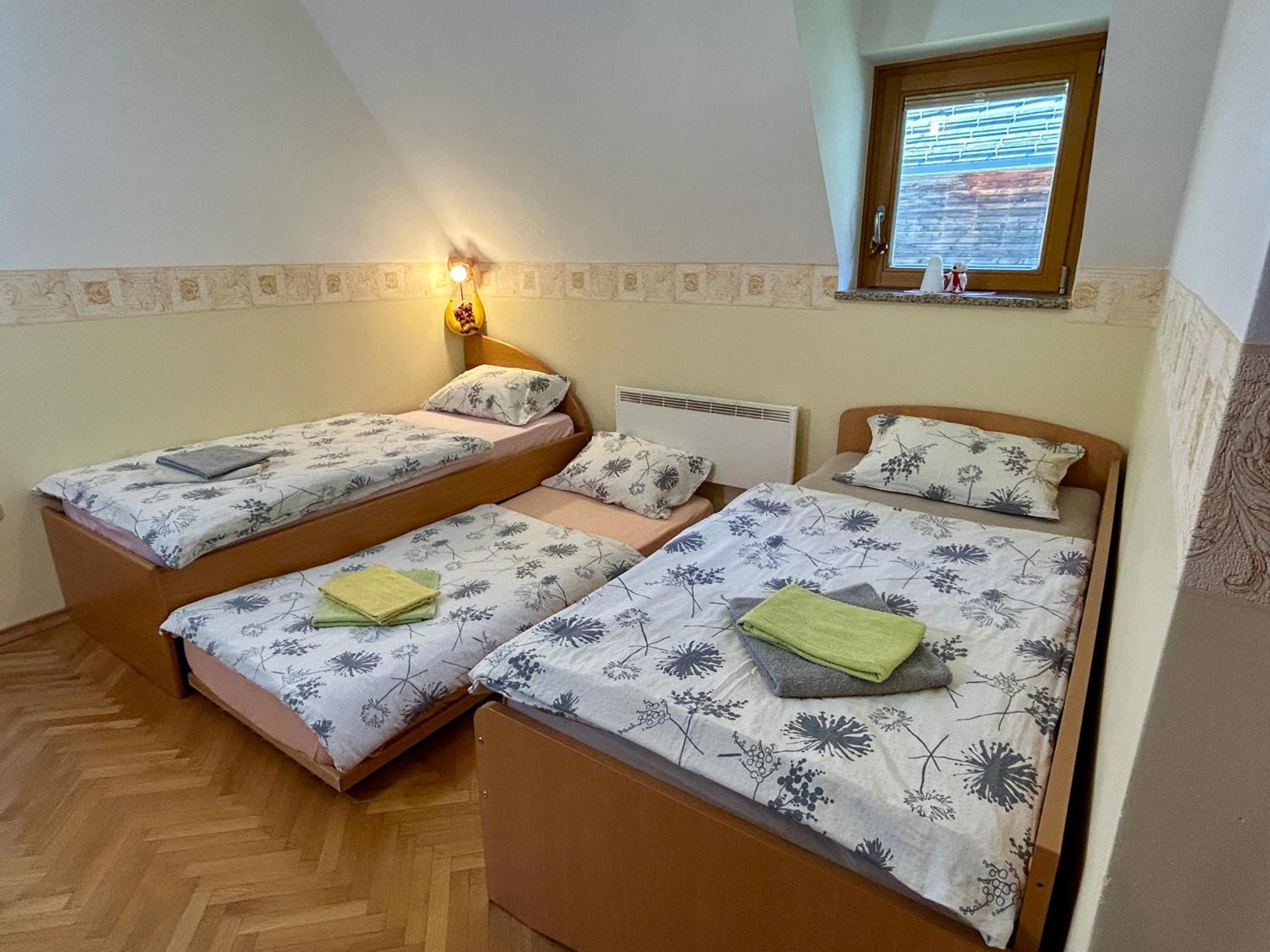 Apartment Crystal Rose Kranjska Gora Exterior photo